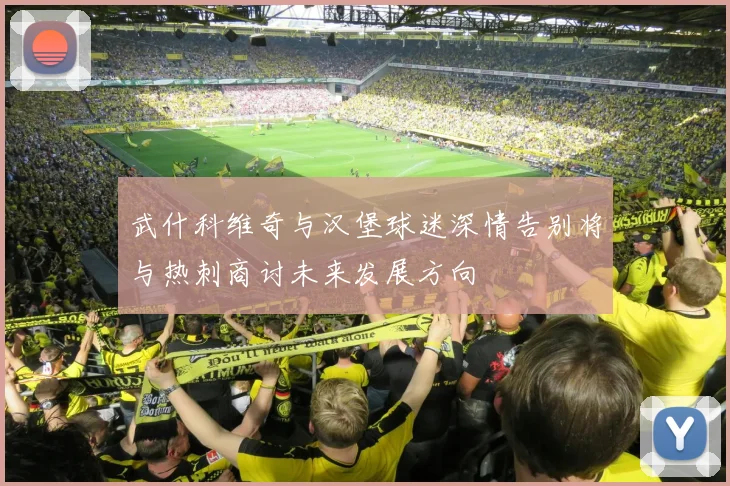 武什科维奇与汉堡球迷深情告别将与热刺商讨未来发展方向