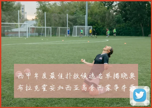 西甲年度最佳扑救候选名单揭晓奥布拉克霍安加西亚乌奈西蒙争夺荣誉