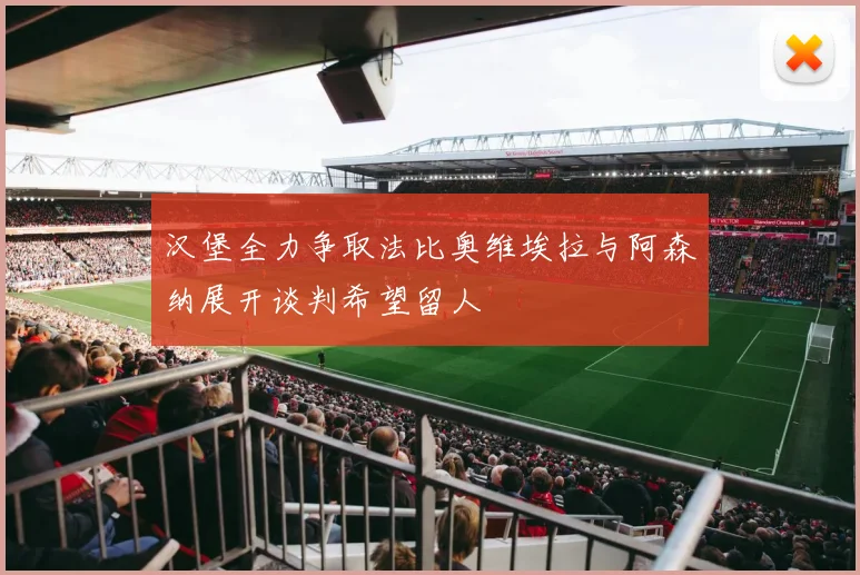汉堡全力争取法比奥维埃拉与阿森纳展开谈判希望留人
